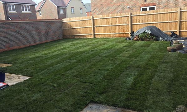 Turfing Project